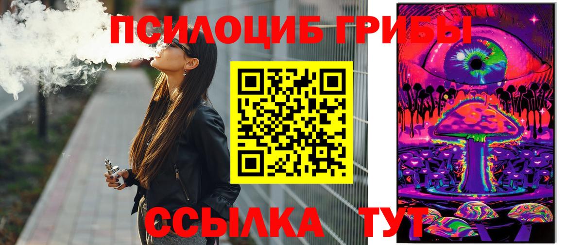 Галлюциногенные грибы Magic Shrooms  Вход с VPN  Елизово  Галлюциногенные грибы Psilocybine cubensis 